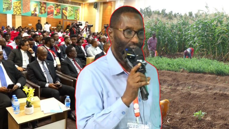 {DAAWO MUUQAALKA}  Gudoomiyaha Ururka Beeralaya Somaliyeed “Dalkeenu waa barwaaqo.”