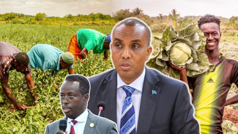 {DAAWO MUUQAALKA} Ra’isul Wasaare Xamsa oo Shaxaad ka bixiyay Ahmiyada Beeraleeyda Soomaliyed.