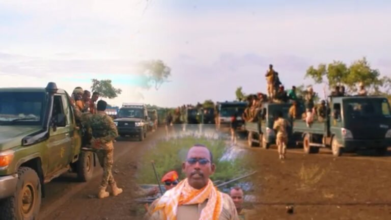 {DAAWO MUUQAALKA} Duqeeyn iyo Howlgal ka Socda Jubbada Hoose.