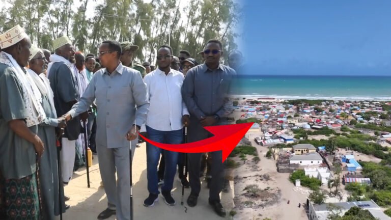 {DAAWO MUUQAALKA}  Soo Dhaweyn Cajiiba Oo Cali Guudaawe Loogu Sameeyay Degmada Cadalle ee gobolka Shabeellada Dhexe.