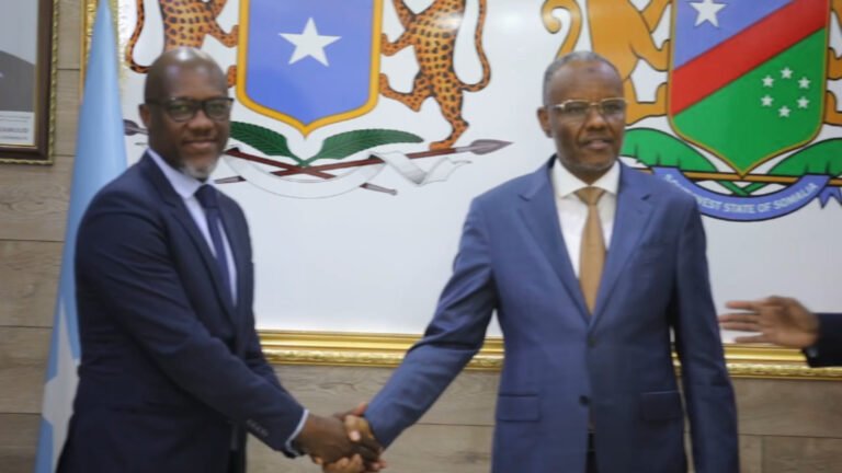 {DAAWO MUUQAALKA}  Madaxweynaha oo qaabilay wafdi uu Hogaaminayo Madaxa ugu Sareeya Hay’adda UNHCR ee Soomaaliya