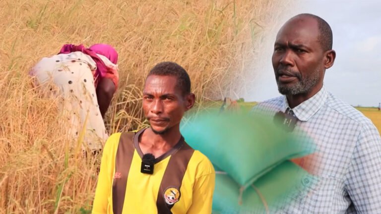 {DAAWO MUUQAALKA} Beeraleeyda Jowhar oo Codsi u diray Soomaaliya.