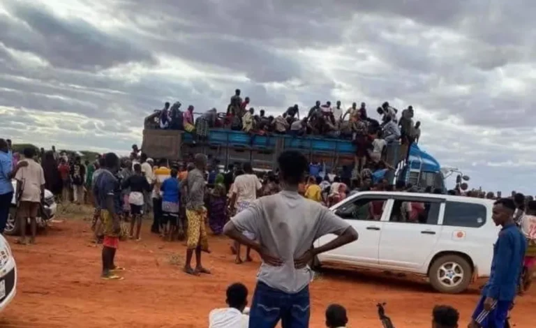 Maamulka Galmudug oo Ka Hadlay Hubka Gacanta U galay Shacabka degmada Caabudwaaq