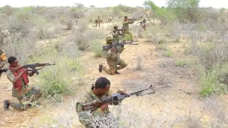 Deegaano hor Leh oo Laga Saaray Ururka AS oo Katirsan Gobolka Baay