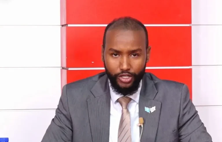 Dowlada Soomaaliya oo mamnuucday in dalka lasoo Geliyo Dowooyinka Maandooriyaha ah