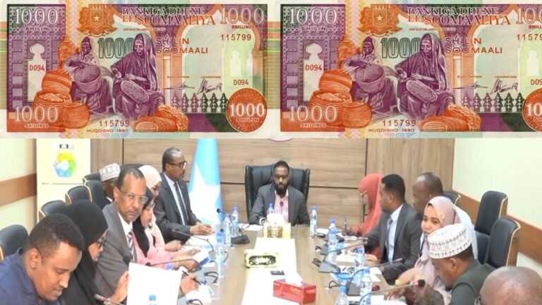 {DAAWO MUQAALKA} Dib U daabacista Lacagta Shilinka Soomaaliya kulamo Looga Hadlaayo oo Lagu dhawaaqay.