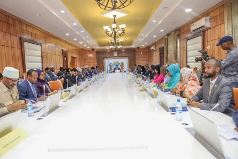 Golaha Wasiirrada Soomaliya oo Ansaxiyay Hishiis Lala Galay Shirkad Imaaraadka laga leeyahay