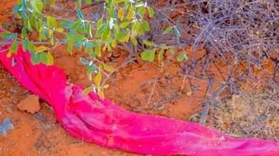 Gabadh muddo la Weysnaa oo Meydkeedka laga Helay Hawdka Gobolka Mudug.