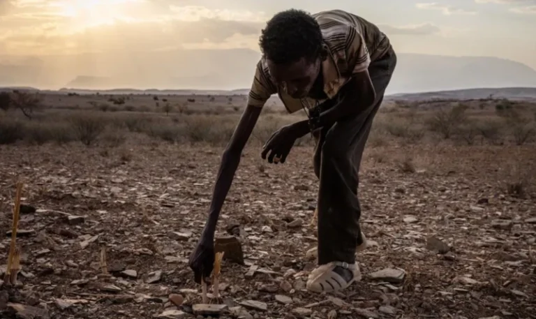 Qaramada midoobay oo ka digtay gaajo ka dhacda dunida