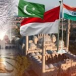 Untitled design (13)