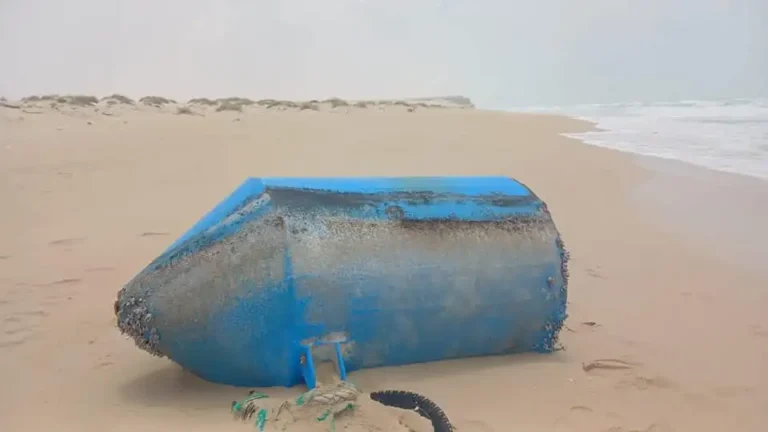 Puntland oo Digniin Kasoo Saartay Haan weyn oo oo lagu arkay xeebaha.