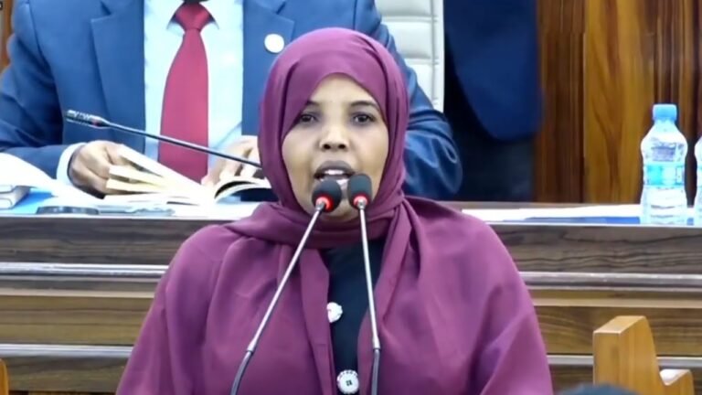 Xildhibaan Faa’isa Jayte oo Gudoomiye Madaale ku eedaysay in uu  gabay masuuliyadii loo igmaday.