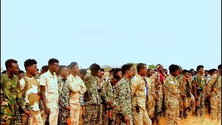 {DAAWO MUUQAALKA} Ciidamo Badan oo maanta lagu soo Bandhiga Gobolka Gado.