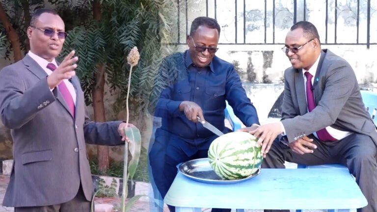 {DAAWO MUUQAALKA} Wasiir Mareeye “Qof maanta haaysto dhul yar wax Badan ayuu ku beeran karaa”