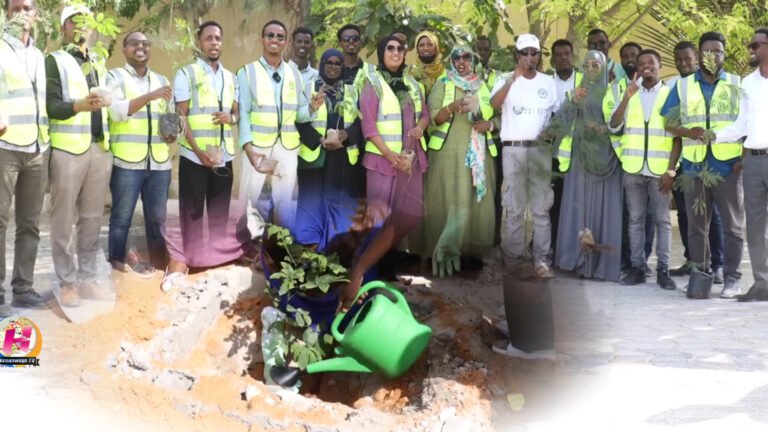 {DAAWO MUQAALKA} ololaha hal Guri iyo Hal Geed oo Muqdisho Laga Furay.