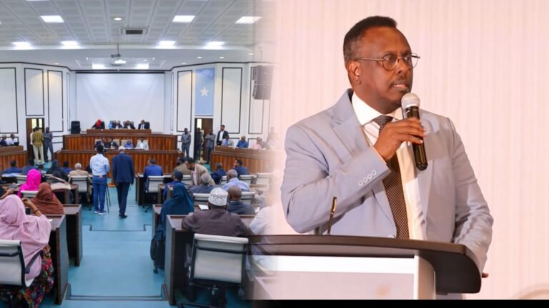 {DAAWO MUQAALKA} Wasiirka Cadaalada Soomaaliya oo ka hadlay halka uu marayo dhameeystirka Dastuurka