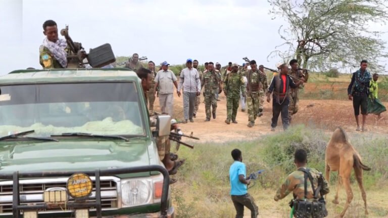 {DAAWO MUQAALKA} Deeq isuga jirta raashin iyo xoolo oo lagaarsiiyay ciidanka dib u xoreynt