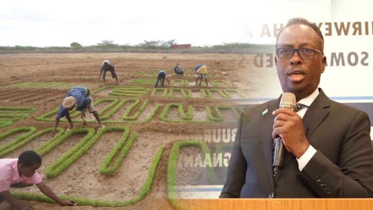 {DAAWO MUQAALKA} Shirweynaha Abuurka Beeraha Soomaaliyeed oo maan la daahfuray.