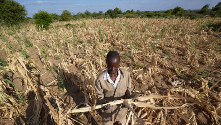 UN agency raises 20% of needed African drought aid