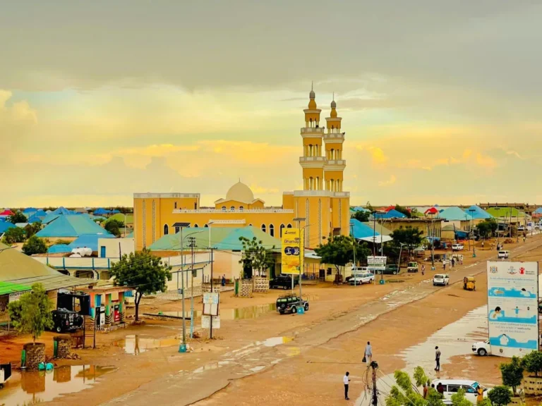 Dil Aad Looga Argagax oo Ka Dhacay Duleedka Degmada Cadaado