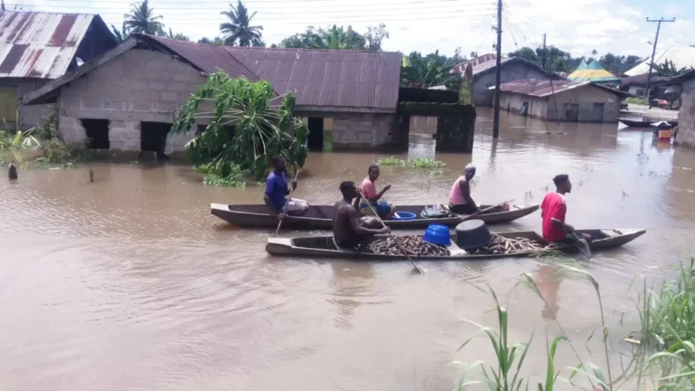 Floods in Nigeria kill at least 49, displace thousands
