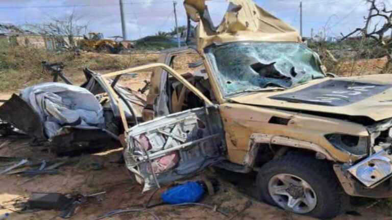 Five Soldiers Killed in Mogadishu Car Bomb Attack