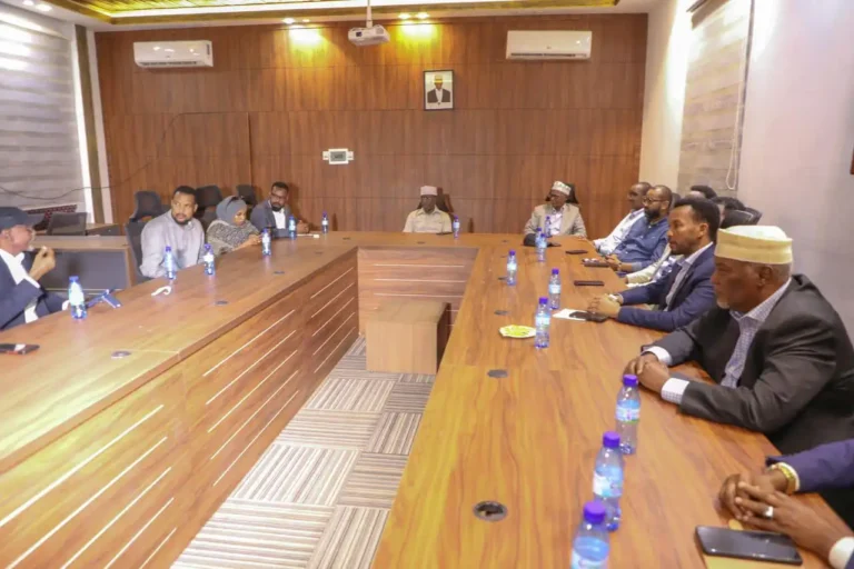 Somali Opposition Forum accuses President Mohamud of undermining unity and state-building process.