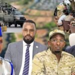 Your paragraph text (1)