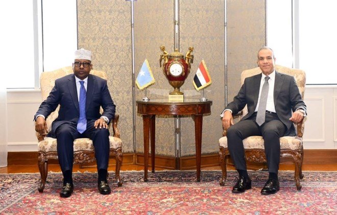 Military pact between Egypt, Somalia came at opportune time: Fiqi