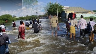 {DAAWO MUQAALKA} War Deg Deg Ah: Wabiga Shabelle oo Kusoo Fatahay Qeeybo Kamid Ah Beledweyne