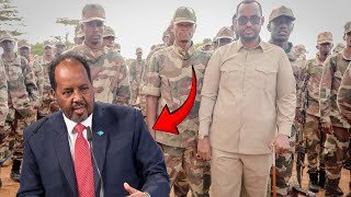 {DAAWO MUQAALKA} Liibaan Ahmed Hassan ”Waxaan la Dagaalaynaa waa cadow soomali wadajirkeeda diidan”