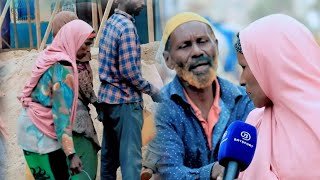 {DAAWO MUUQAALKA}  Falcelin adag ayaa ka dhalatay Arin Lagu sameeyay Hooyo Soomaaliyeed oo Xoogsato ah.