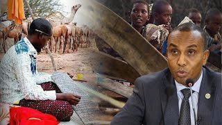 {DAAWO MUQAALKA} Raisul Wasaare Xamse ”Dowladda wexey qaadaneeysaa Macaliminta Dugsiyada qur’aanka ”