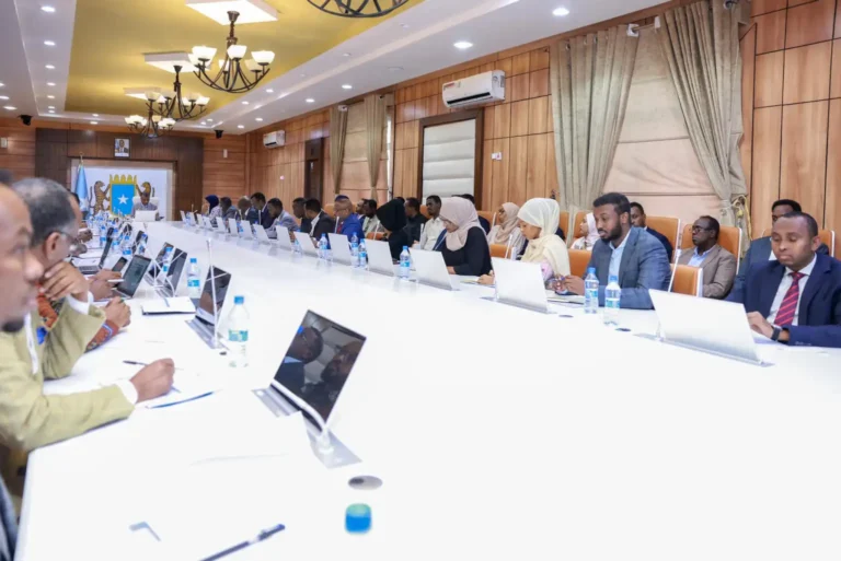 Muxuu Yahay  Shirka COP-29 ee Ka Furmaayo Baku ee dalka Azerbaijan?