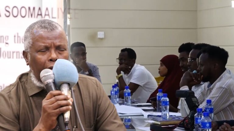 {DAAWO MUQAALKA}  Golaha Warbaahinta Soomaaliyeed oo tababar siiyay wariyeesha