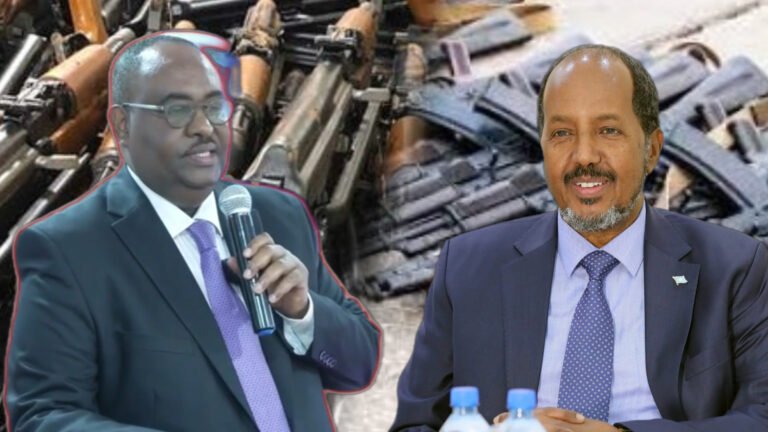 {DAAWO MUQAALKA} Madaxweyne Deni oo ka digay in dib loogu laabto xaalad laga soo gudbay