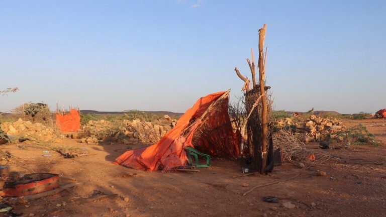 {DAAWO SAWIRADA} Isbaarooyinkii yiilay Duleedka Baladweyne oo Intooda badan La qaaday.