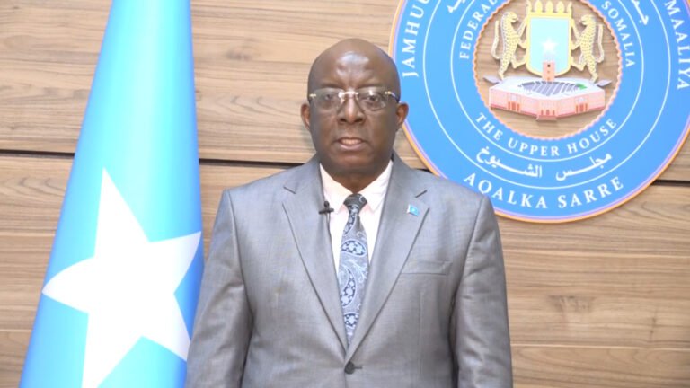 {DAAWO MUQAALKA}  2 Sano kadib Maxaa u qabsoomay Dowlada Soomaliya?