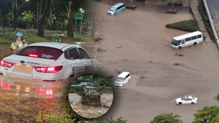 {DAAWO MUQAALKA} Daadad ay Dad ku dhimteen oo ku dhuftay Wadanka Jabaan