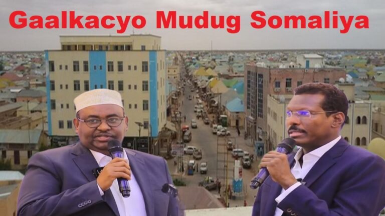 {DAAWO MUQAALKA} Muxuu yahay halka Arin oo ay Isku Raaceen Dani Iyo Qoorqoor.?