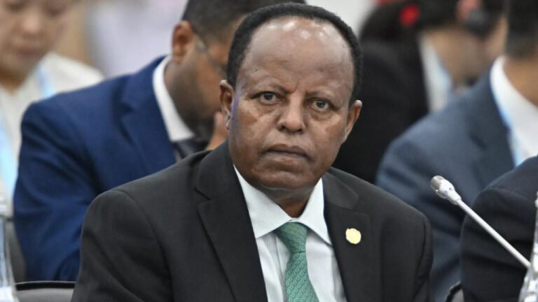 Ethiopia worried over arms shipments to Somalia.