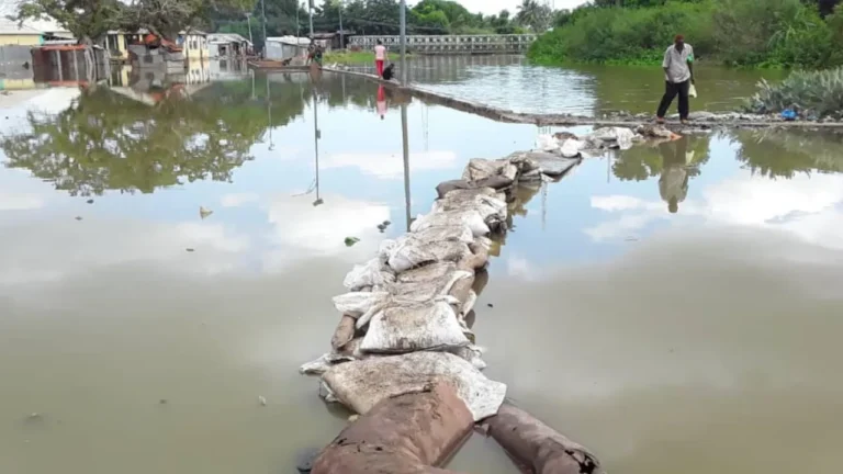 {DAAWO MUUQAALKA} Fariinta Daadadka isbadalka Cilimada Soomaaliya.