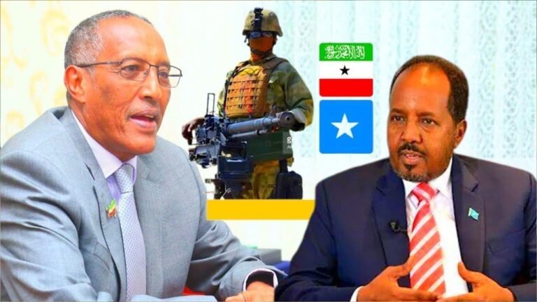 {DAAWO MUUQAALKA} Madaxweyne Biixi ”Soomaaliya waa ineey ilaalisaa Darisnimada”