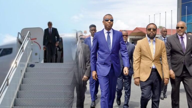 Prime minister to address UNGA as Somalia prepares for Security Council seat