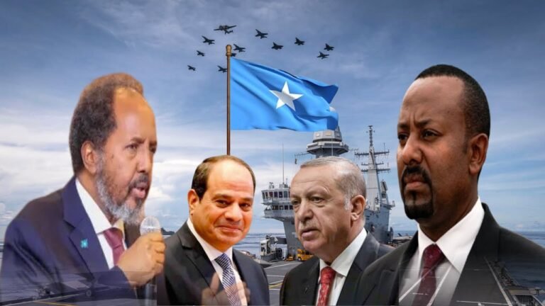 {DAAWO MUQAALKA} Soomaaliya ma isku dheelatiri kartaa danaha Turkiga iyo Masar