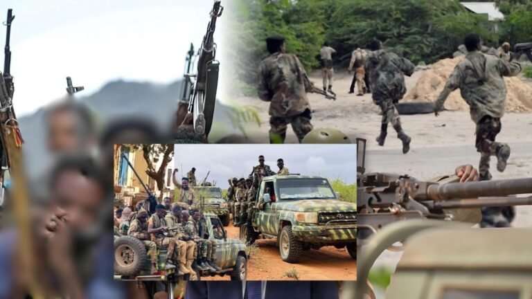 {DAAWO MUUQAALKA} Ciidamada Deegaanka oo Howlgalo ka Sameeyey Deegaano ka tirsan Gobolka Hiiraan