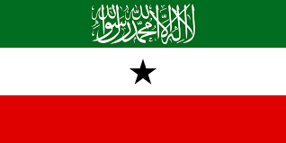 Maxaa ka jiro in Xildhibaano katirsan Golaha Wakiillada Somaliland oo la baafinayo?