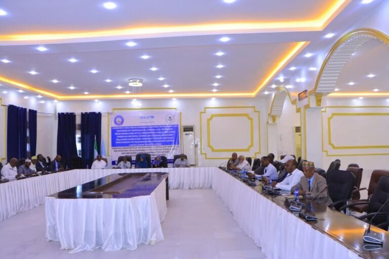 {DAAWO SAWIRADA} Soo Gabagabeeynta  Aqoon iswaydaarsi Ku Saabsan Wacyigelinta leexsiga Gargaarka