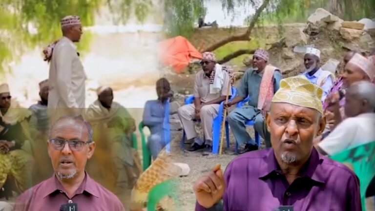 {DAAWO MUQAAALKA} Xal laga gaaray dhibaatadii ka taakneeyd Ceerigaabo