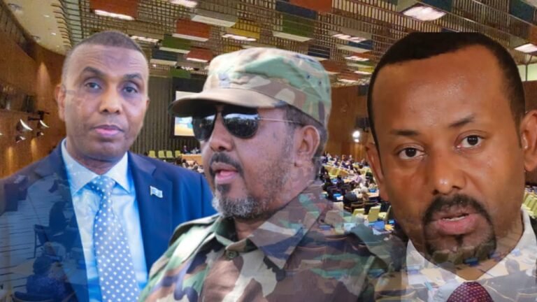 {DAAWO MUUQAALKA} Maxay tahay Hadalka Itoobiya ku Saabsan Ra’isal Wasaare Xamsa ka sheegay Shirka QM?